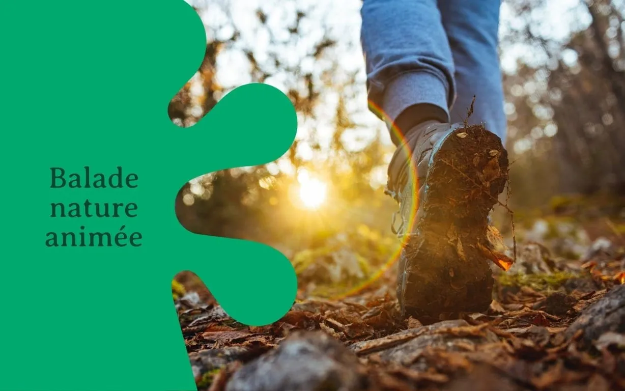 🌲Balade nature animée : Homme et nature, une relation complexe