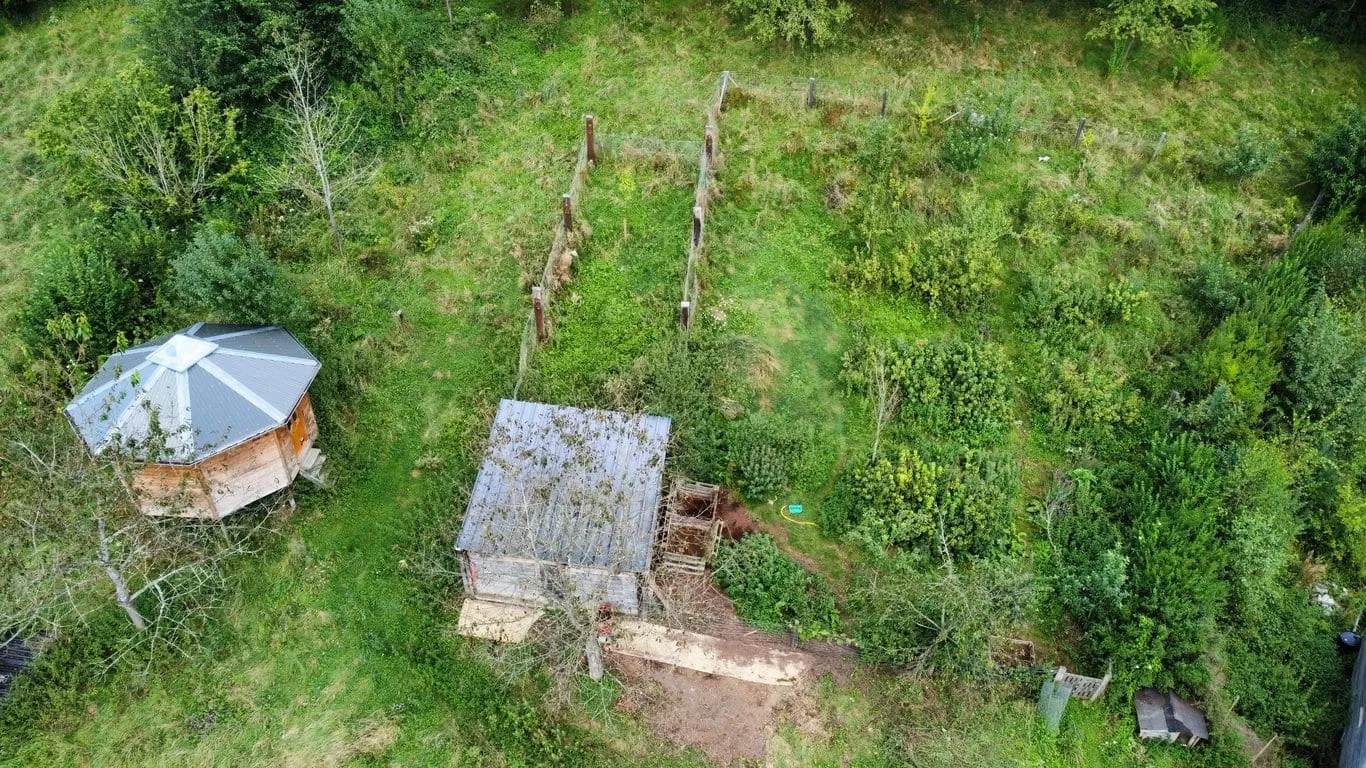 Dji fly 20240825 143116 995 1724589470432 photo optimized